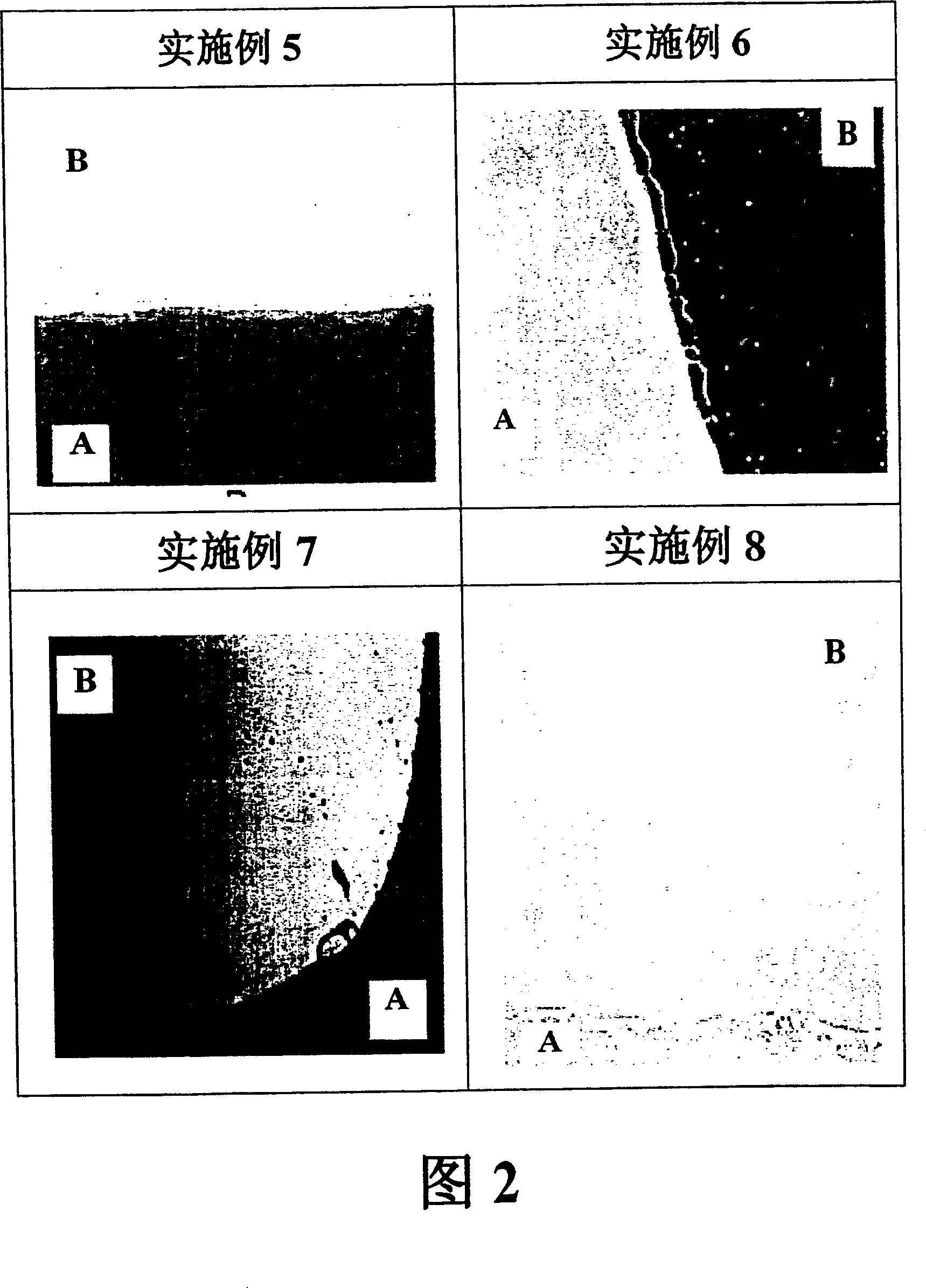 Polyamic acid composition, and liquid crystal aligning agent and aligning film prepared from the same