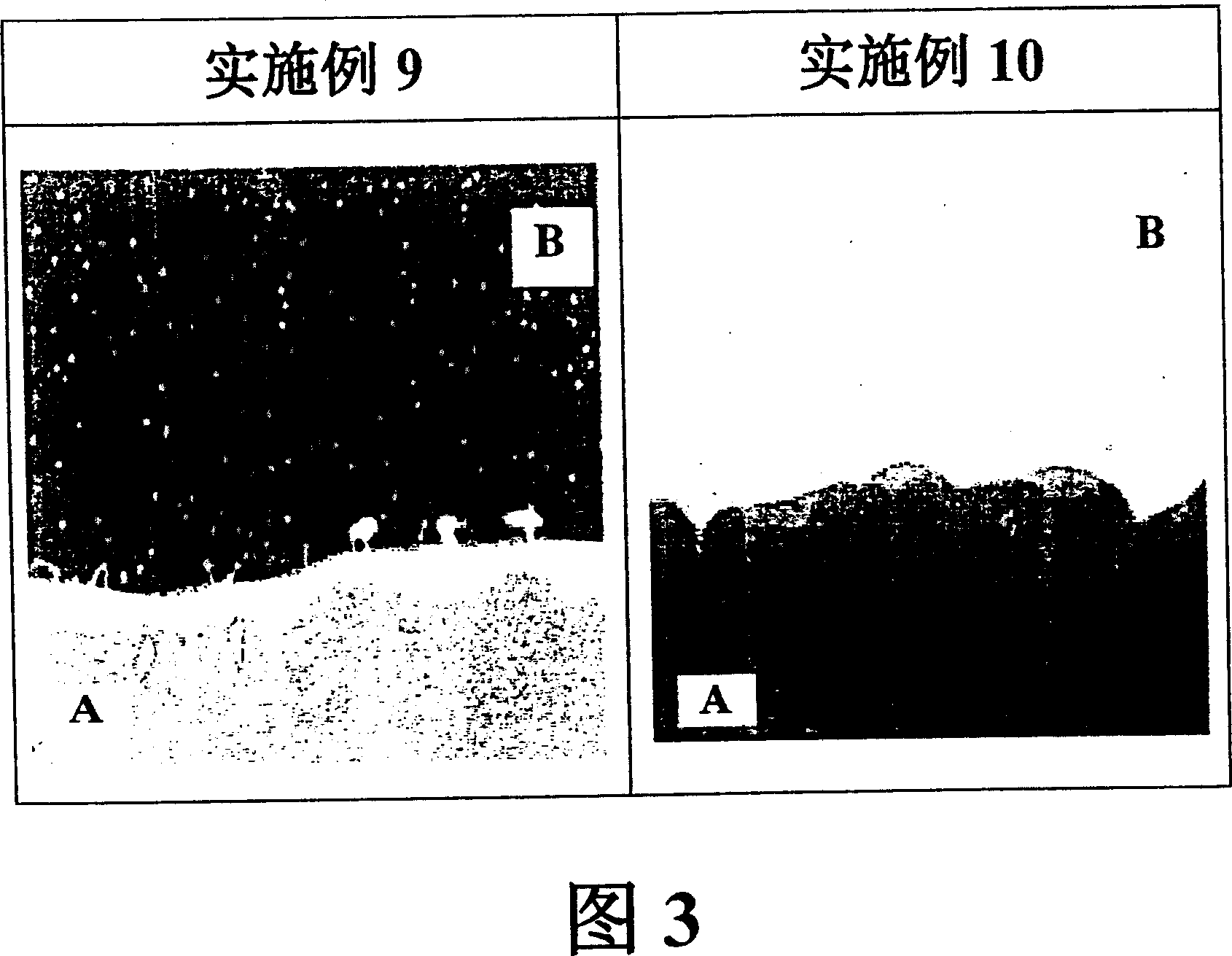 Polyamic acid composition, and liquid crystal aligning agent and aligning film prepared from the same
