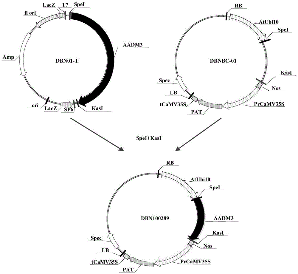 Herbicide resistance protein, its encoding gene and use