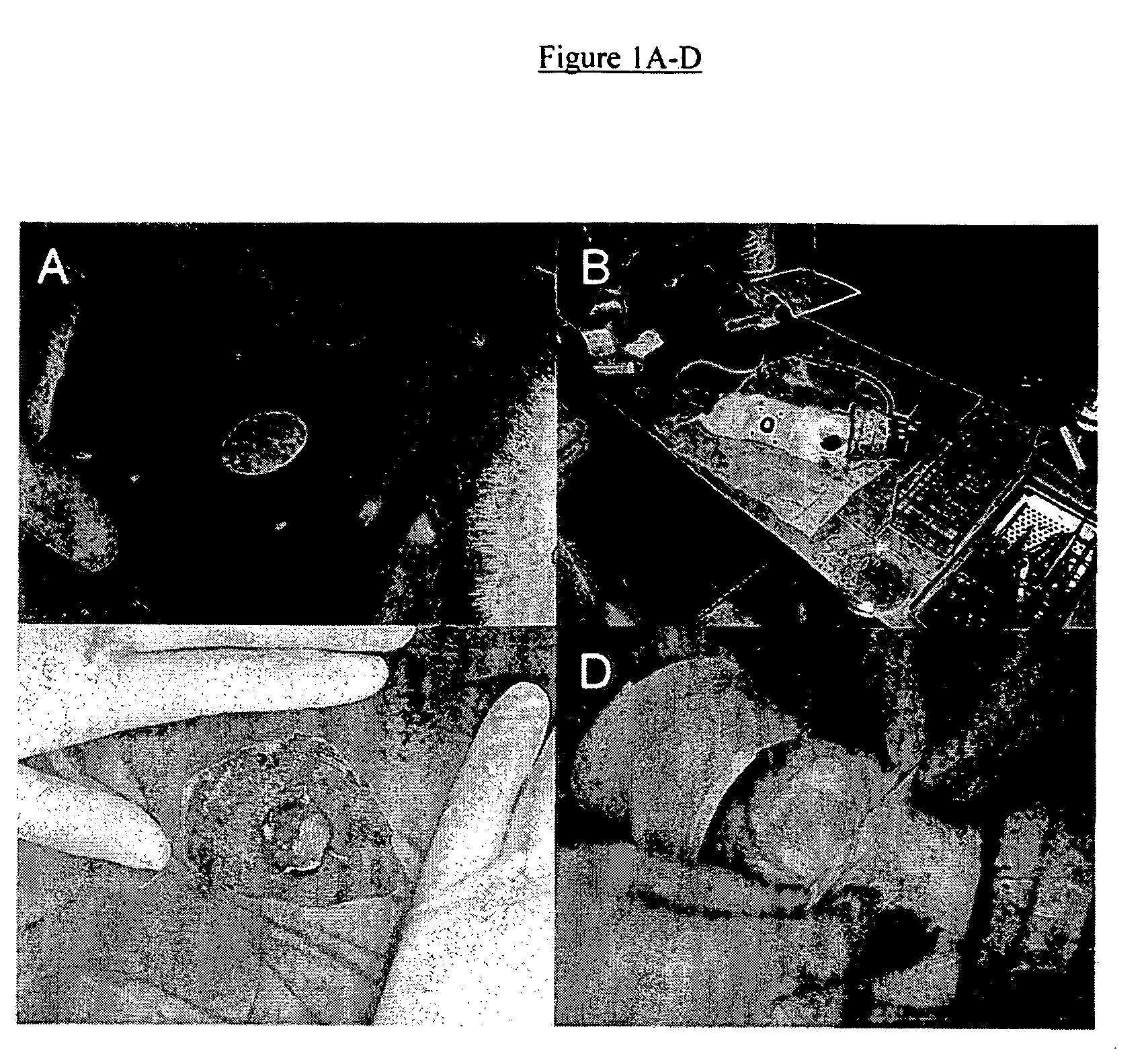 Methods for treatment of wounds using time release compositions