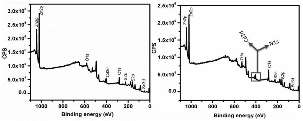 Fluoroborate phase transfer method for water dispersion of oil-soluble quantum dots