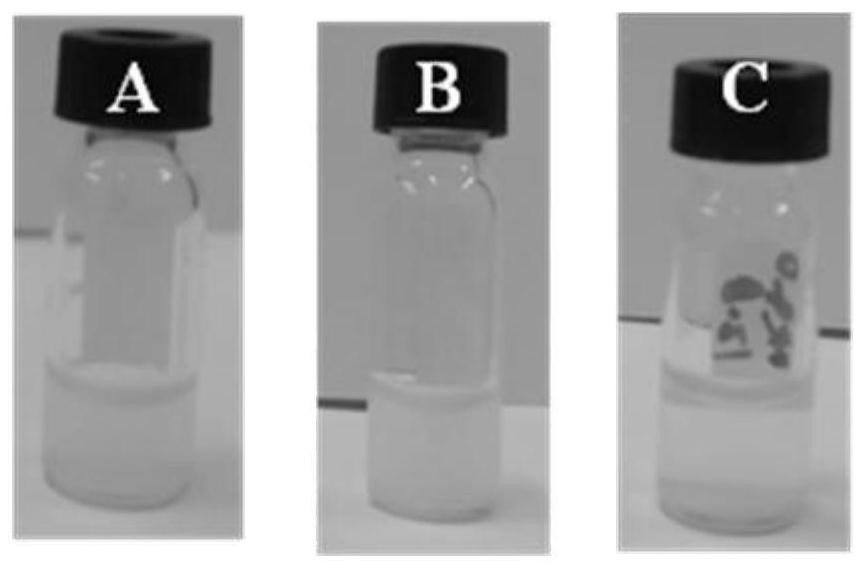 Fluoroborate phase transfer method for water dispersion of oil-soluble quantum dots