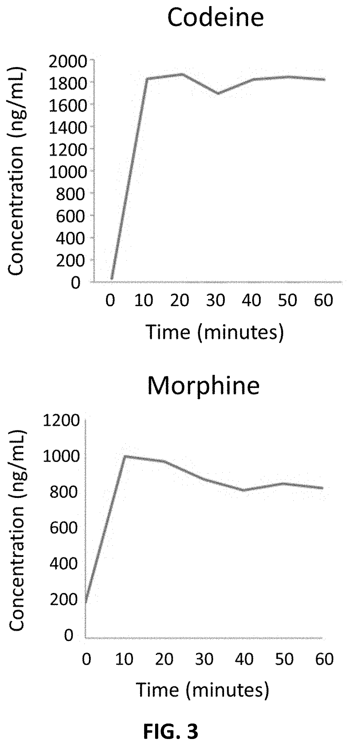 Method for detecting opioids, opiates, cannabinoids, or benzodiazepines in a sample with a b-glucuronidase enzyme