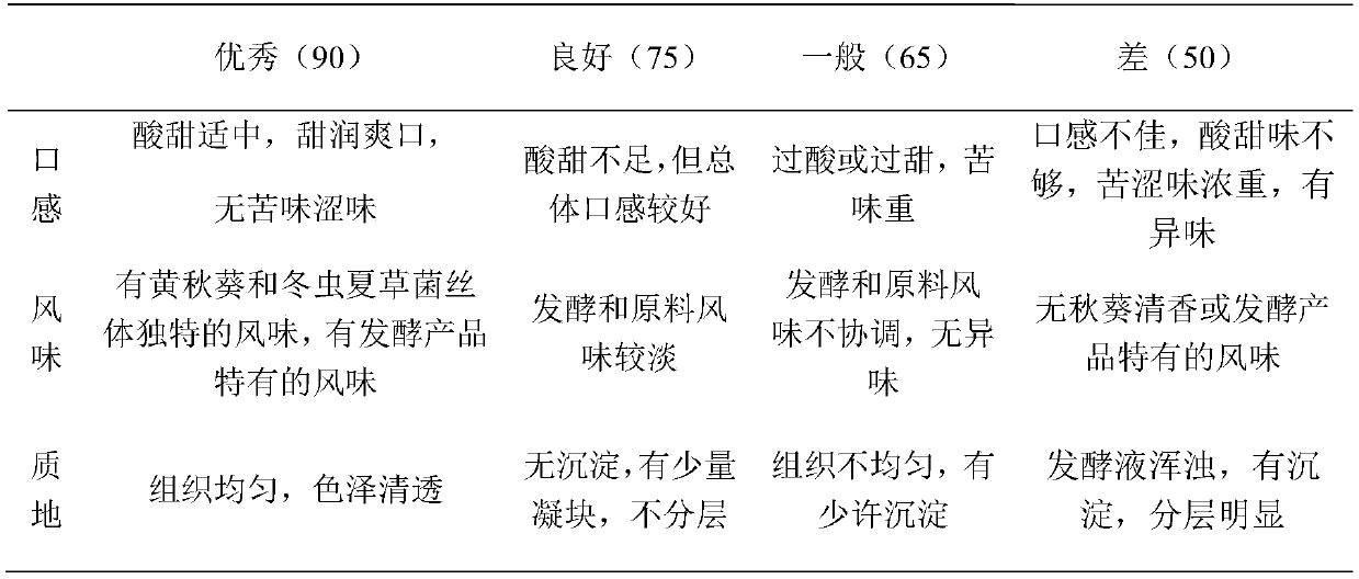 Probiotic fermentation okra and cordyceps sinensis mycelium compound healthcare beverage and preparation method thereof