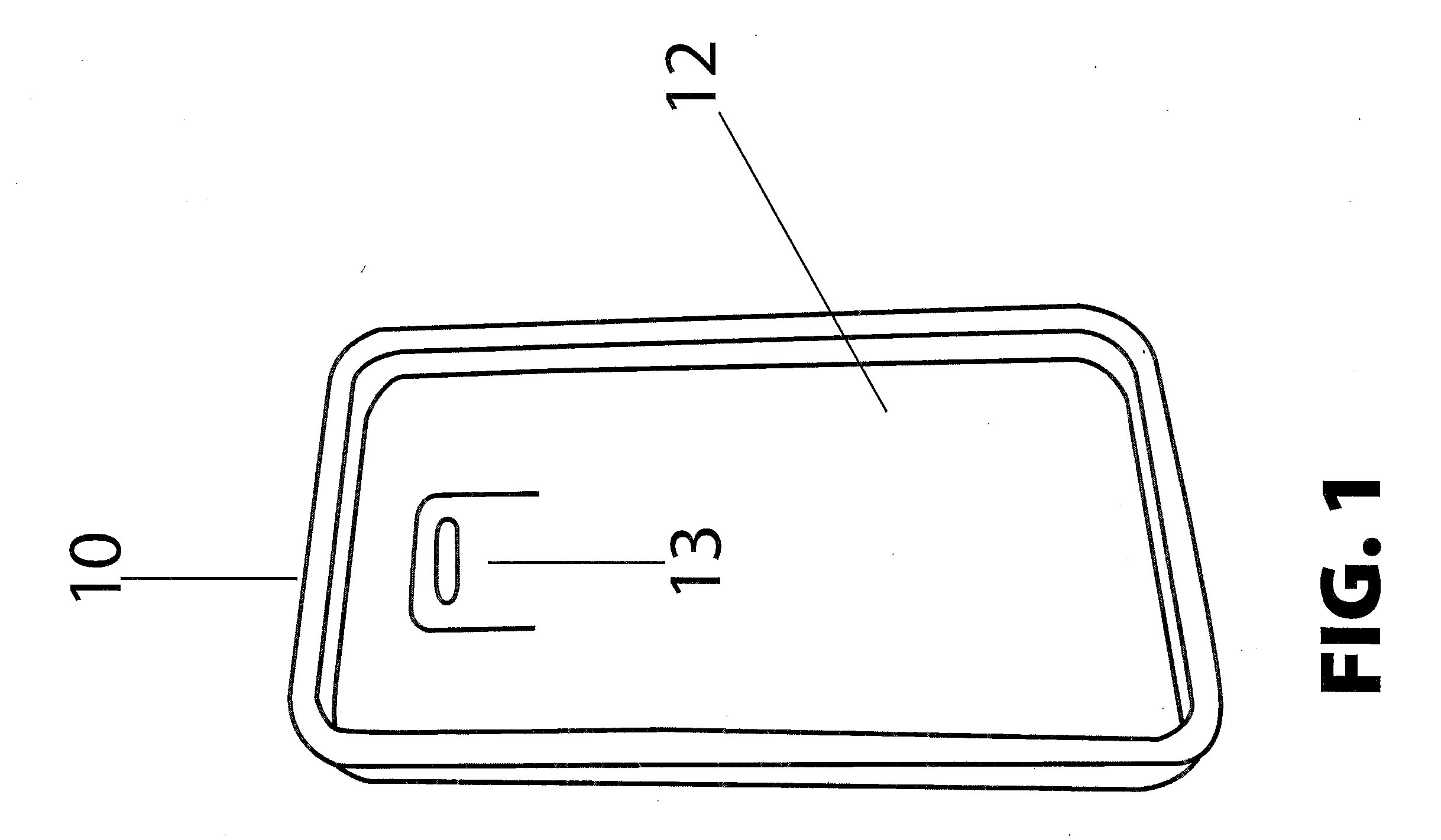 Apparatus for carrying hand-held wireless electronic device