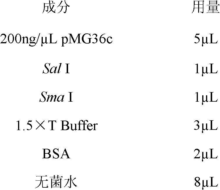 Building method of lactococcus lactis genetic engineering bacterial strain loaded with clfA gene