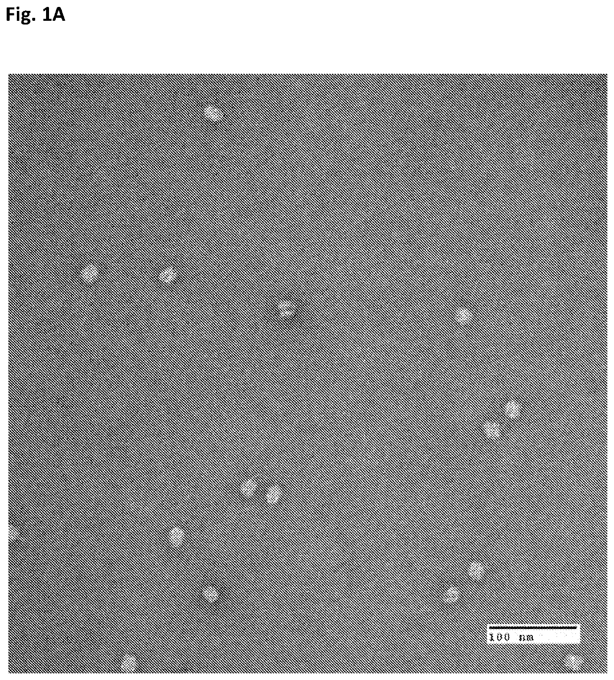 Nucleic acid origami structure encapsulated by capsid units