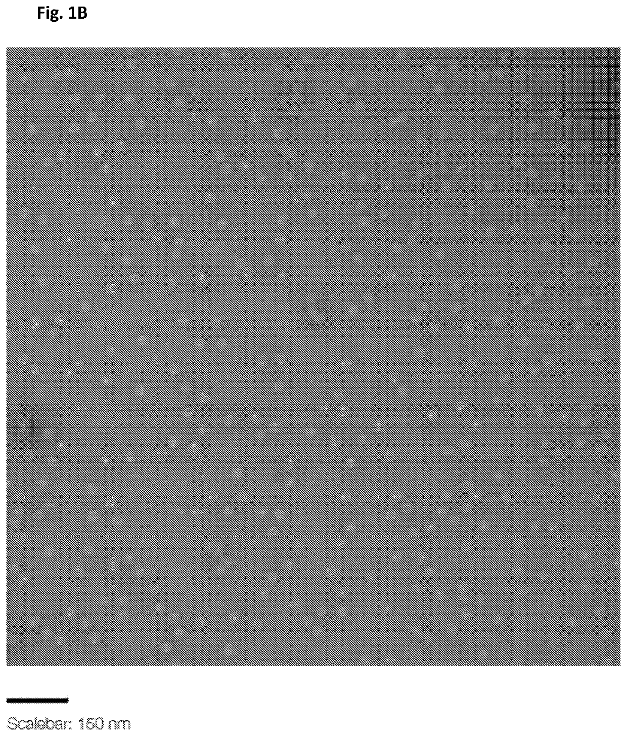 Nucleic acid origami structure encapsulated by capsid units