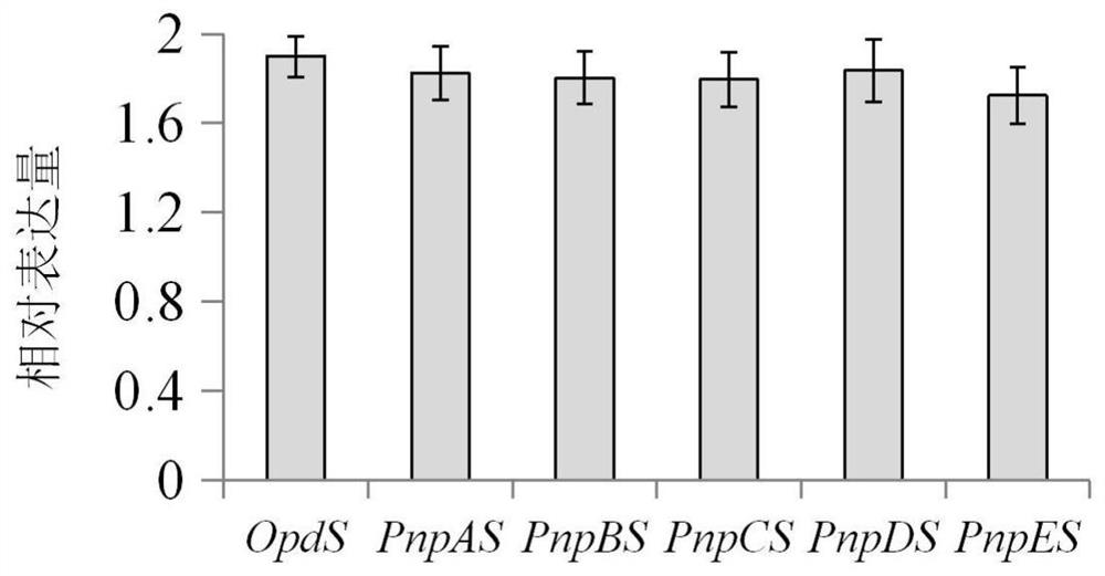 Organophosphorus hydrolase genome expressed in escherichia coli and application thereof