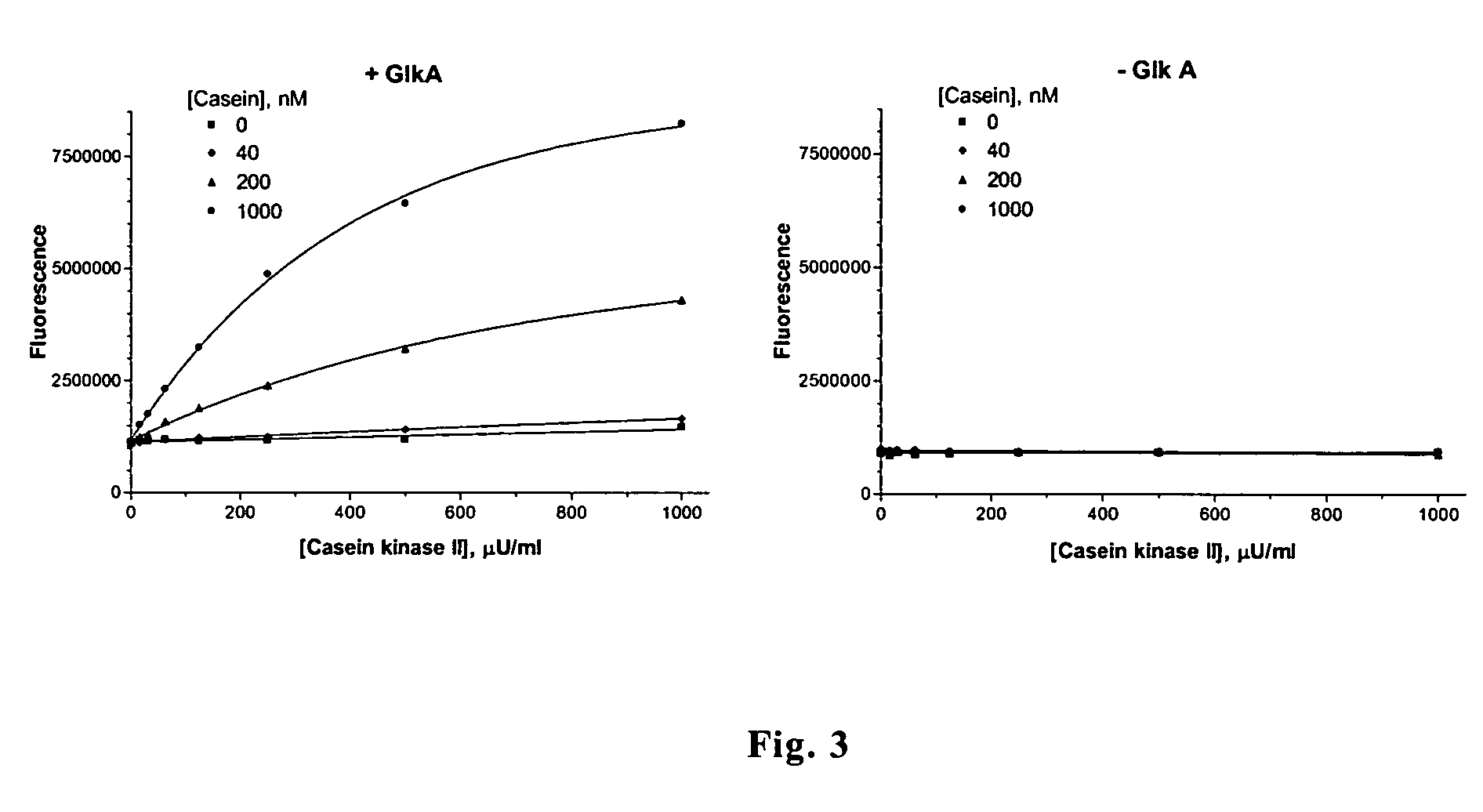Enzyme assay and use thereof