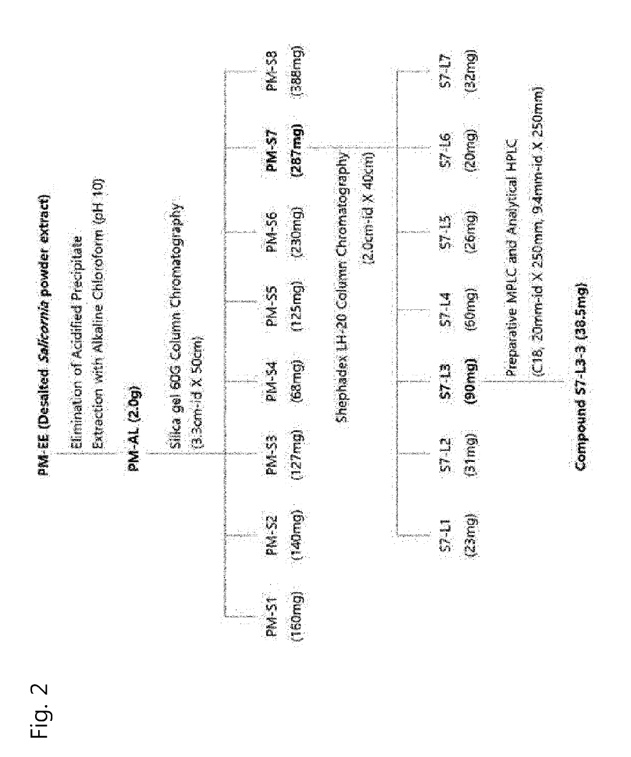 Pharmaceutical composition for preventing or treating dementia and improving cognitive function, comprising glasswort extract