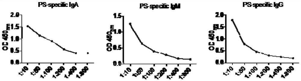 Biomarker for diagnosis of preeclampsia of pregnancy, application and kit