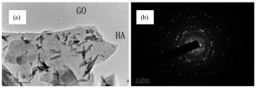 A Kind Of Preparation Method Of Graphenehydroxyapatite Composite Ceramic Material Eureka 7479