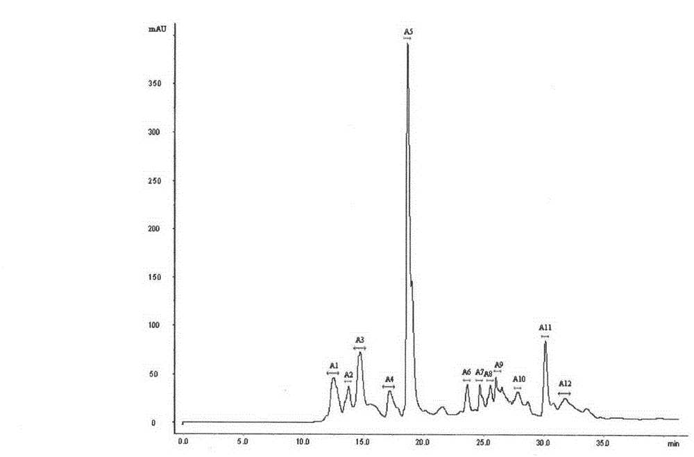 Loach protein antihypertensive peptide and preparation method thereof