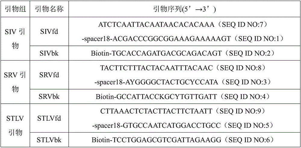 Detection primer set and method capable of simultaneously detecting and distinguishing SIV, SRV and STLV