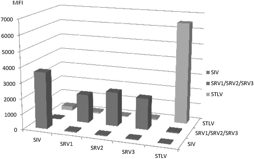 Detection primer set and method capable of simultaneously detecting and distinguishing SIV, SRV and STLV