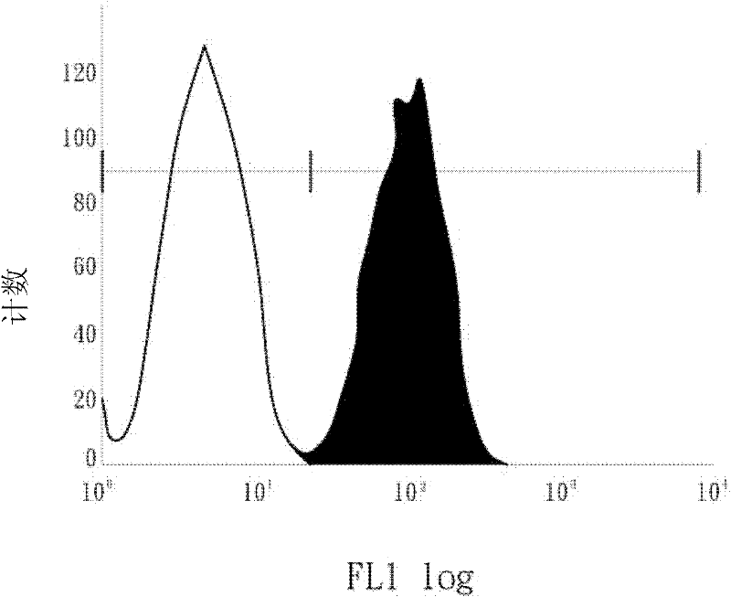 Hepatic progenitor cells and uses thereof