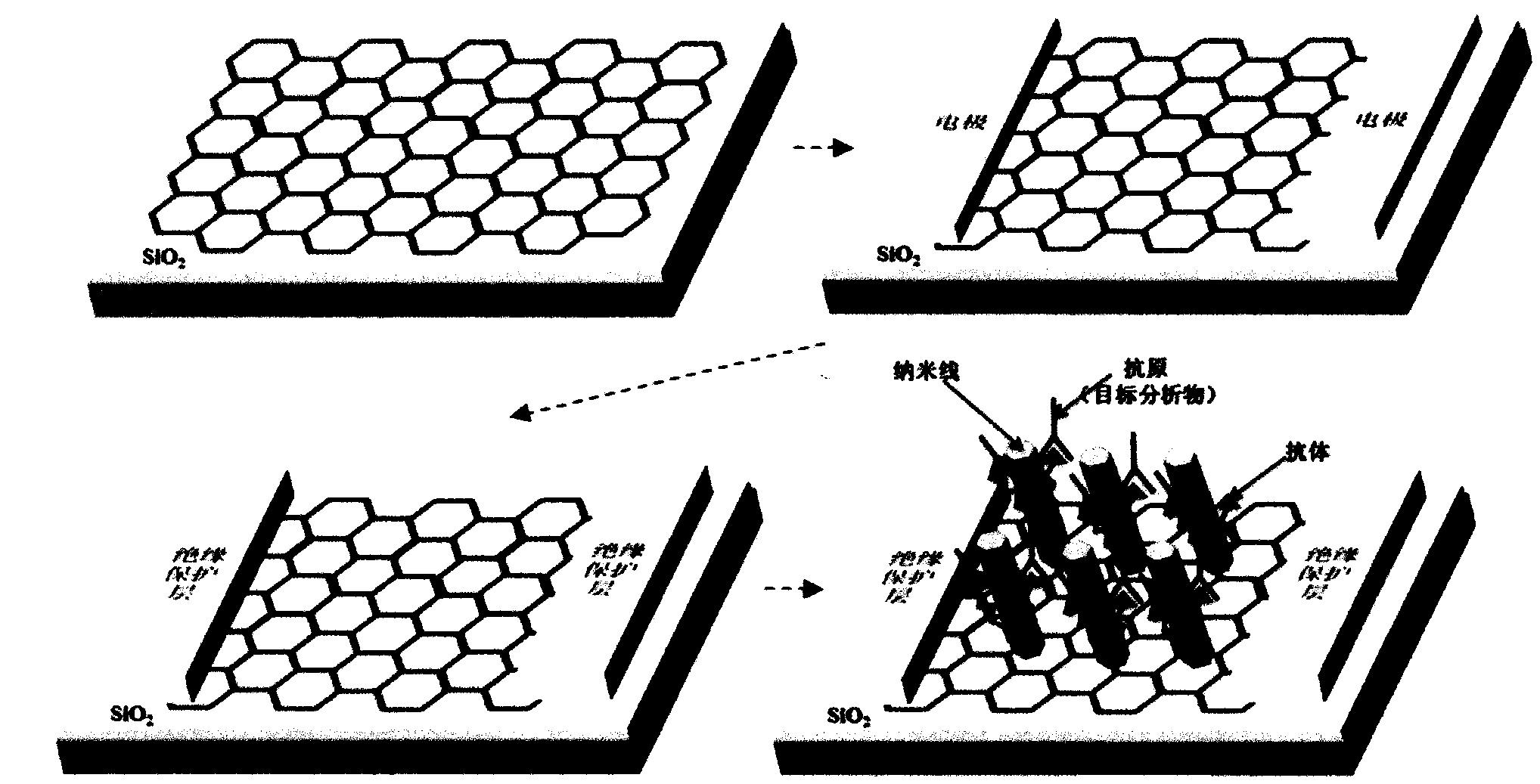 Manufacture and application method for graphene transistor and biosensor of graphene transistor