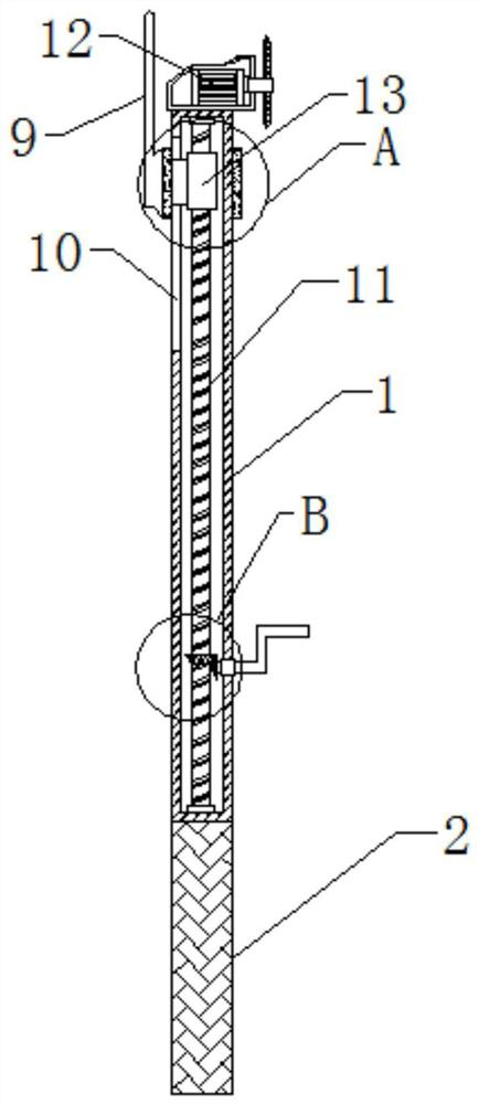 Branch trimming device for greening