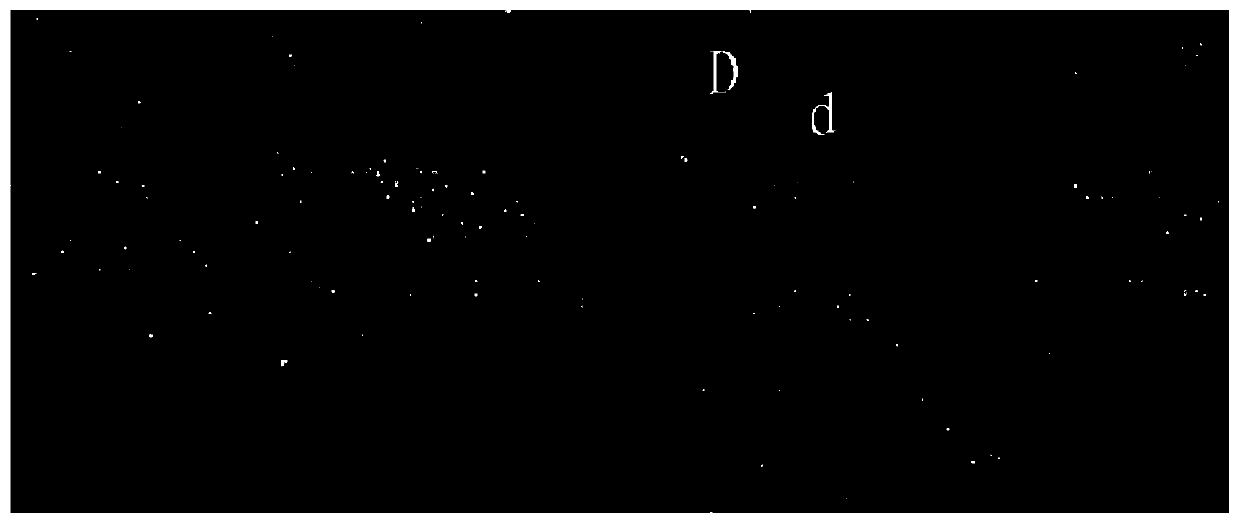 Active night vision adaptive exposure method, system and vehicle