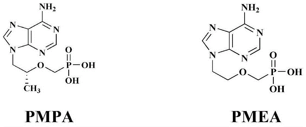 Nucleotide phosphonate compound, pharmaceutical composition, preparation method and uses thereof