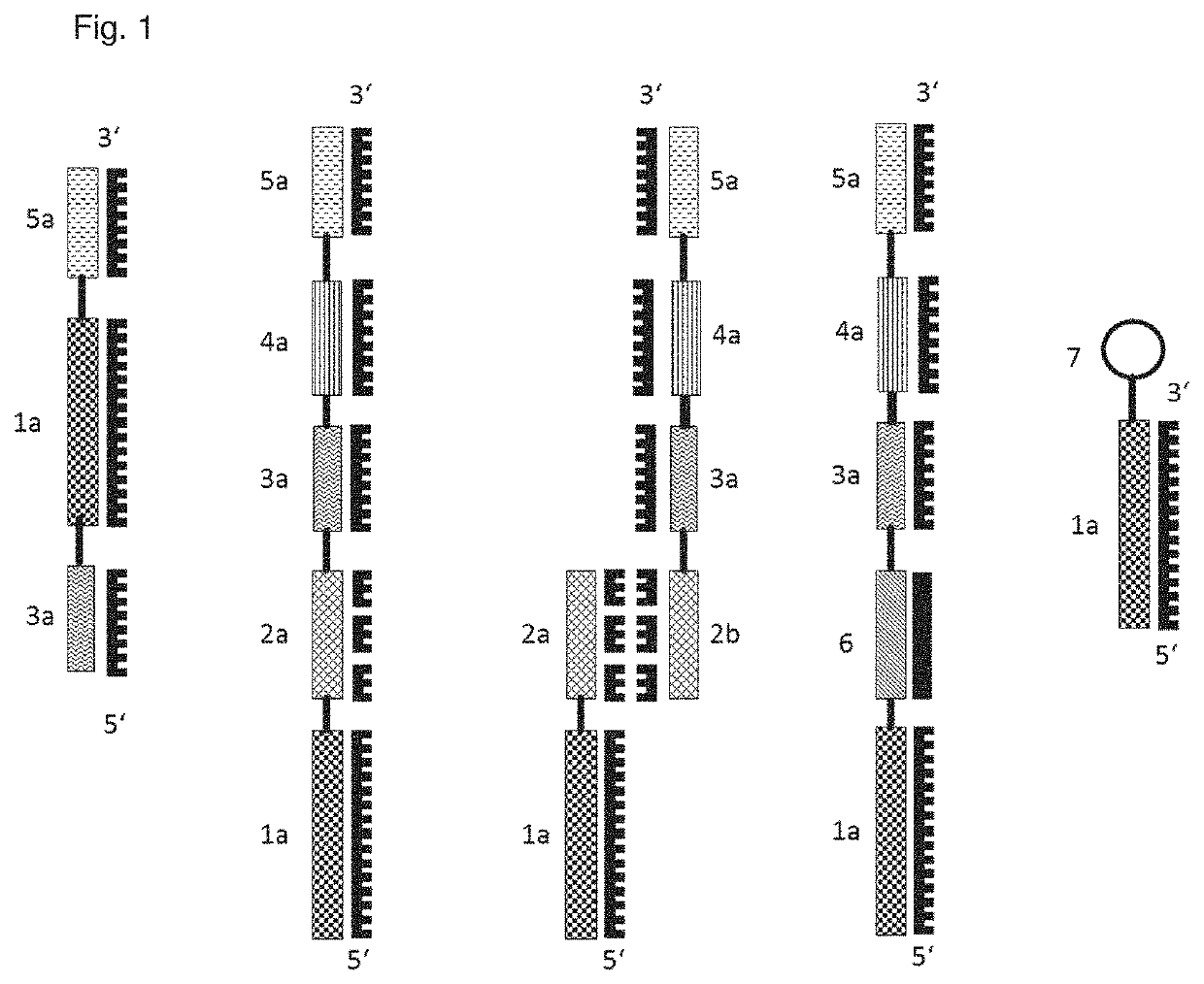 In situ cell analysis in cell culture system