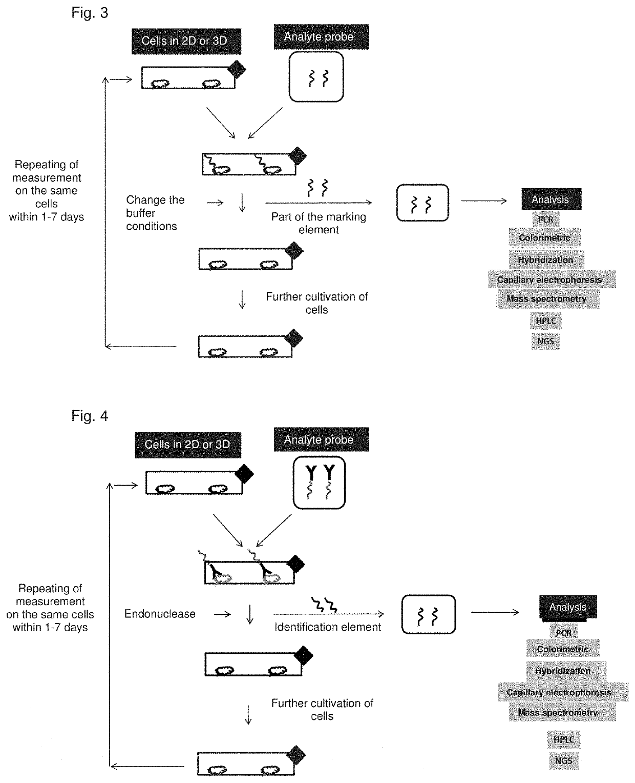 In situ cell analysis in cell culture system