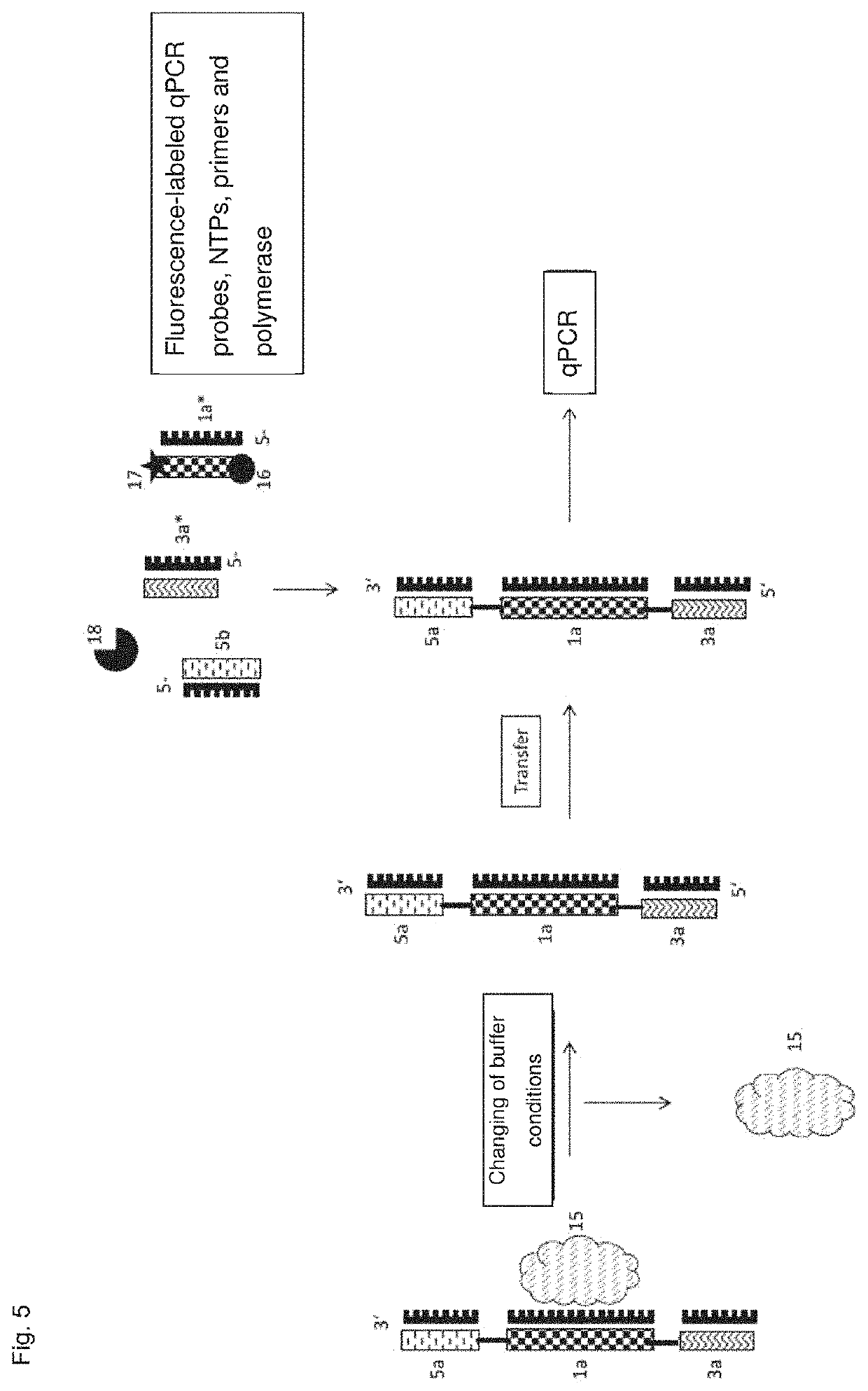 In situ cell analysis in cell culture system