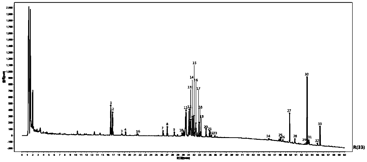 Detection method for fingerprint spectrum of mountain ginseng in forest