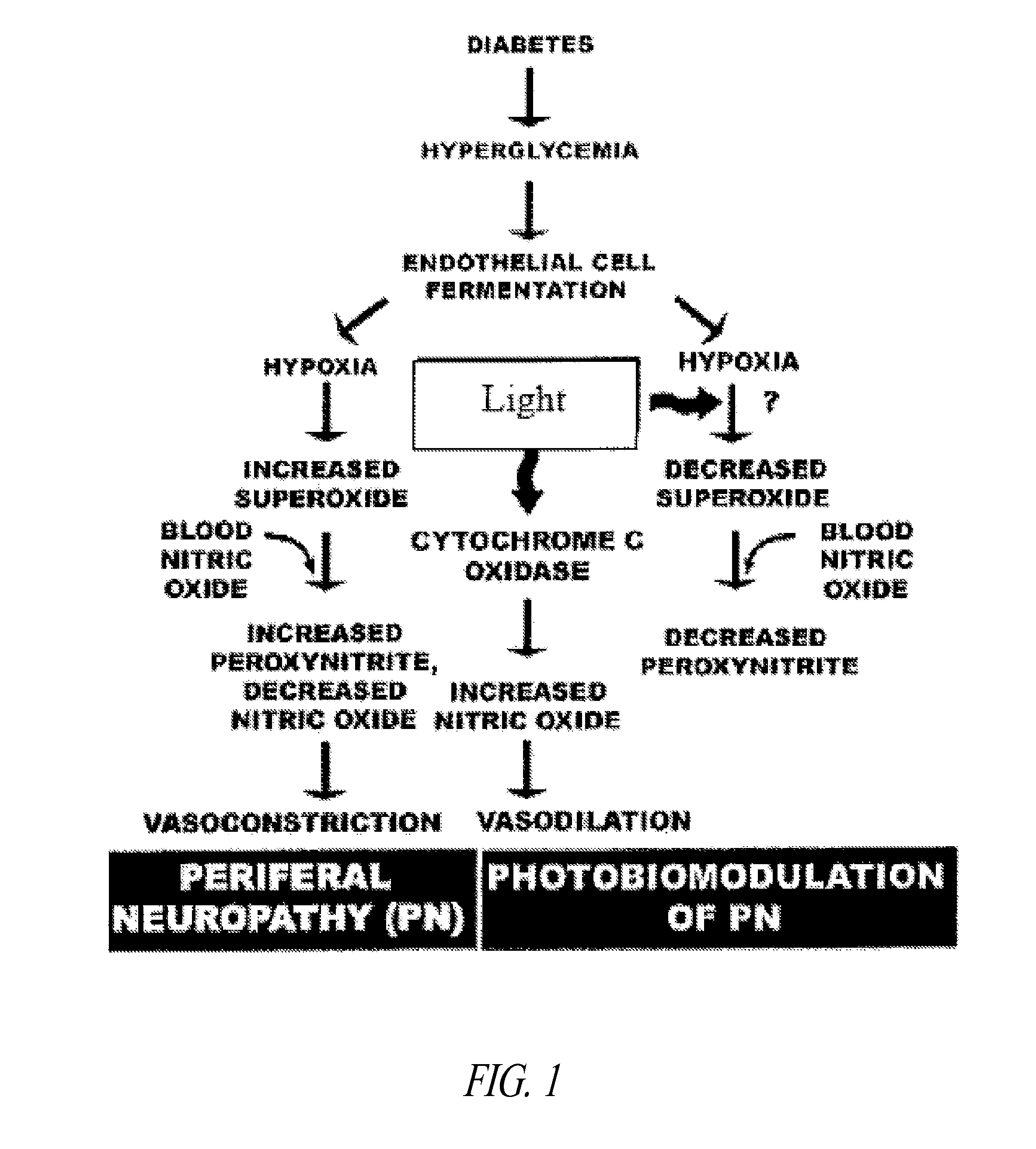 Methods and devices for visible light modulation of mitochondrial function in hypoxia and disease
