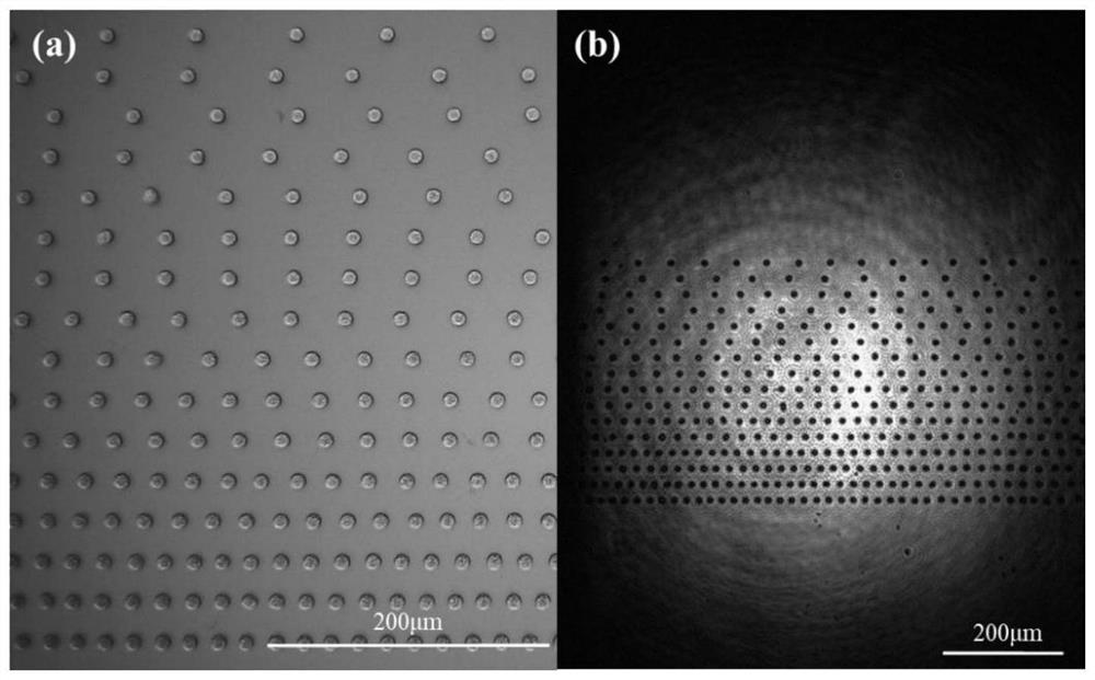 A real-time monitoring optical path system for micro-nano structure morphology in inkjet printing