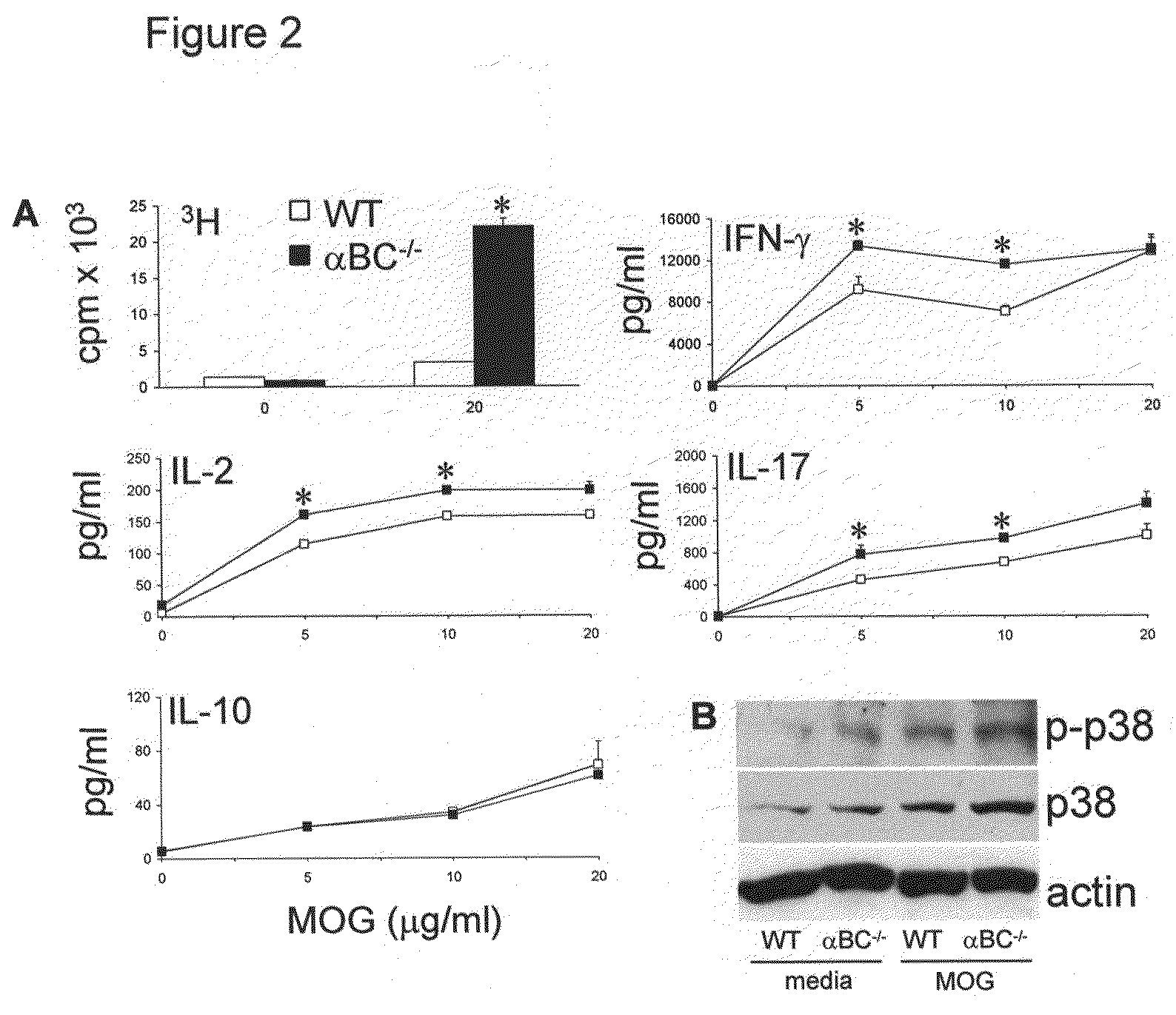 Alpha B-crystallin as a therapy for rheumatoid arthritis