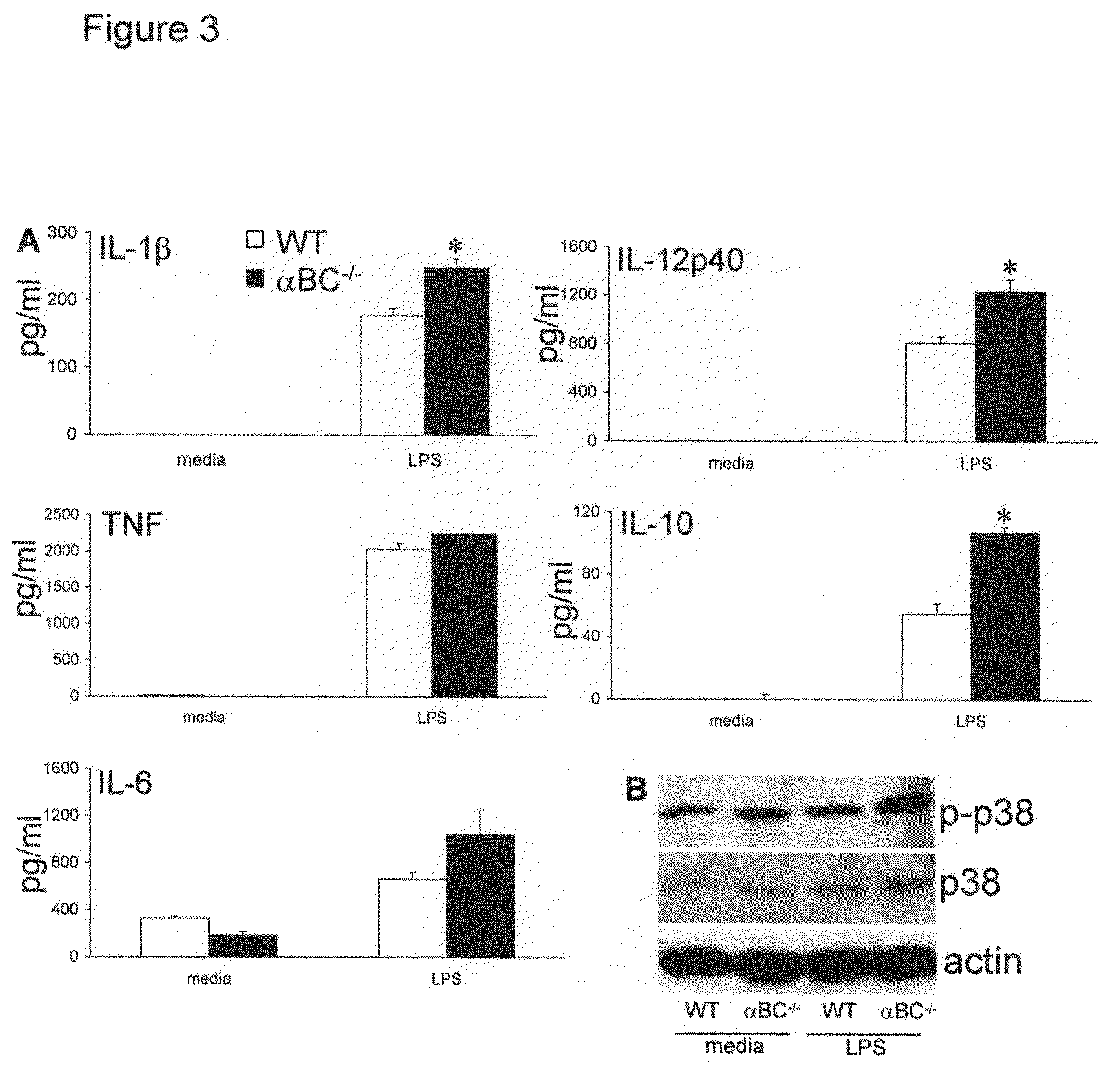 Alpha B-crystallin as a therapy for rheumatoid arthritis