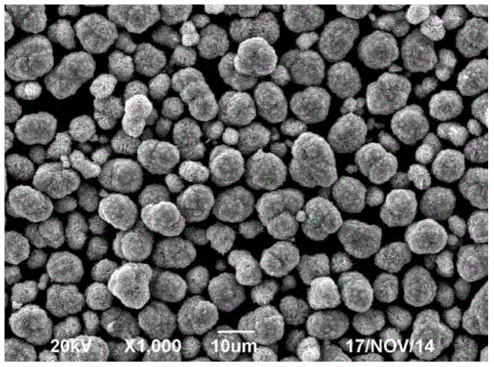 Preparation method of nickel-cobalt binary positive electrode material precursor and nickel-cobalt binary positive electrode material precursor prepared by the method