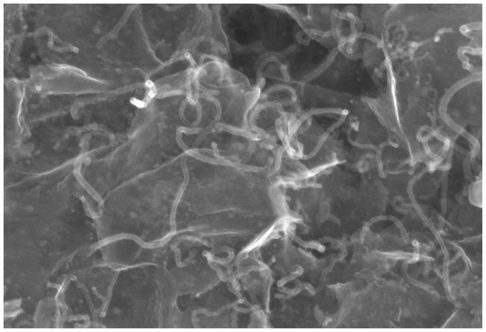 Composite nano-material with carbon nano-sheets loaded with carbon nano-tubes in situ as well as preparation method and application of composite nano-material