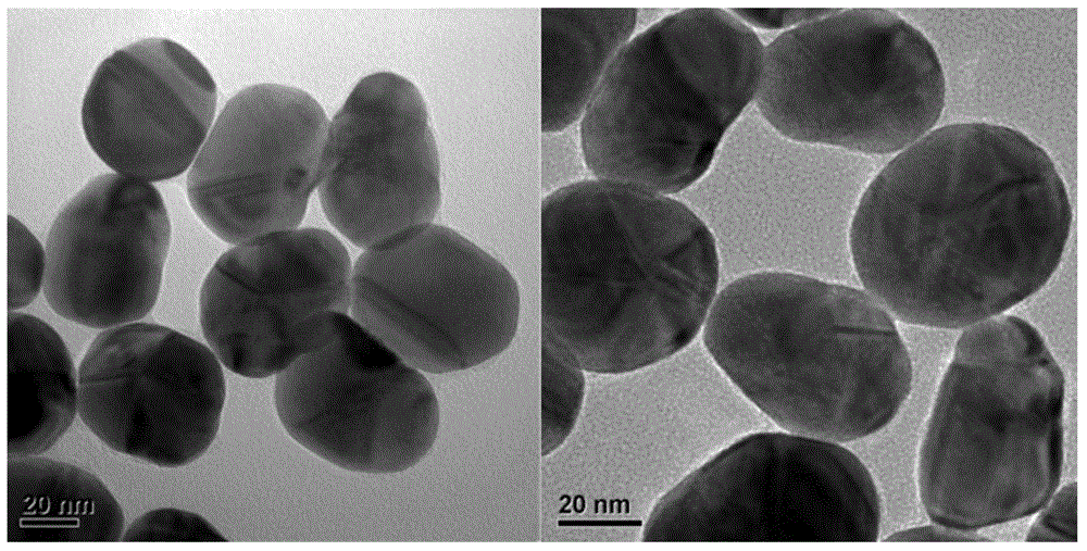 Silicon dioxide plated nanometer particle pinhole filling method