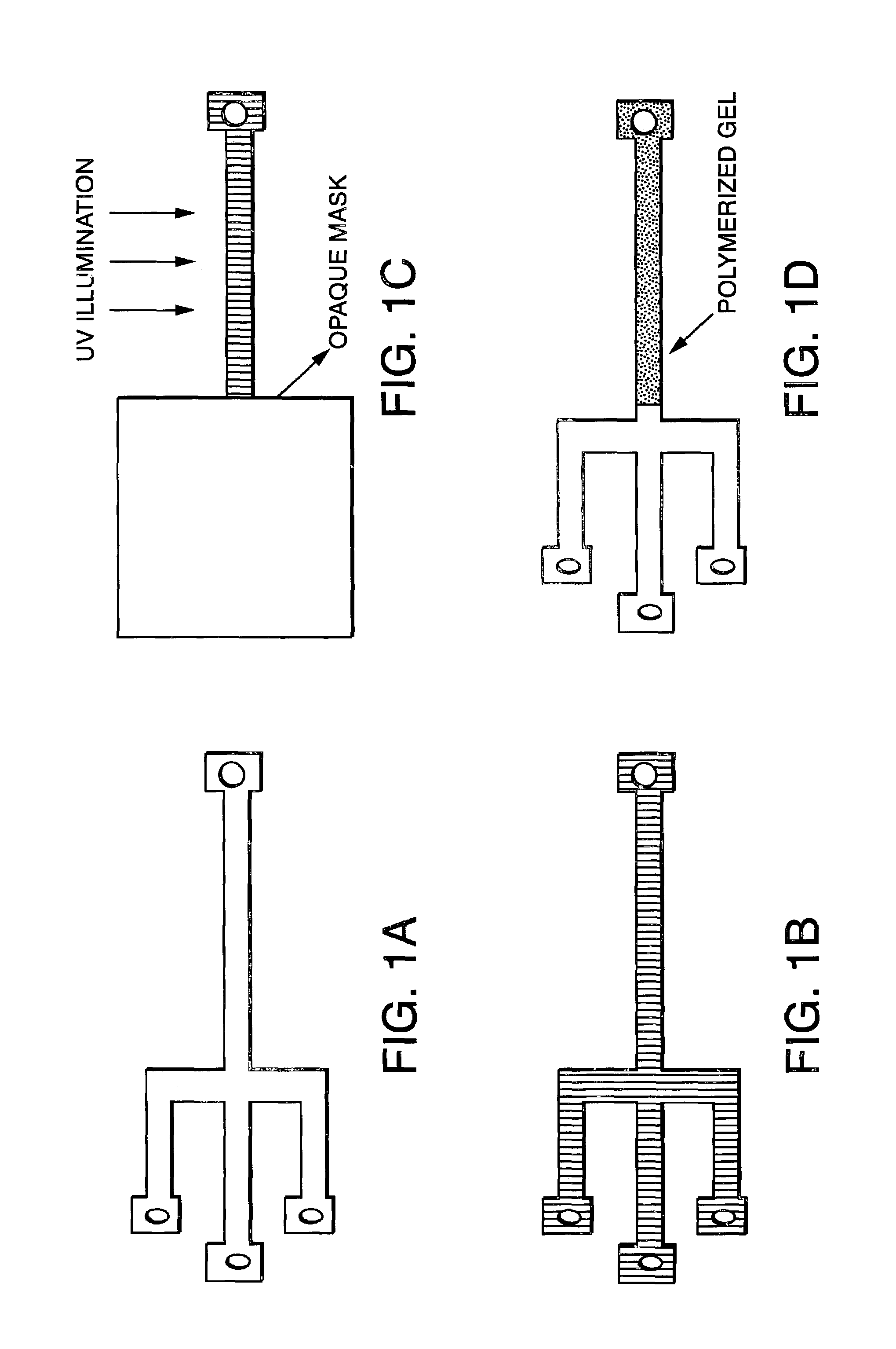 Electrophoresis in microfabricated devices using photopolymerized polyacrylamide gels and electrode-defined sample injection
