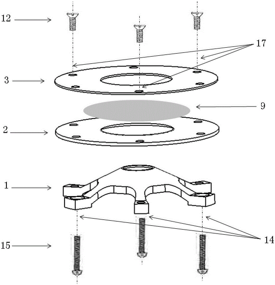 A target film flattening device and method for nuclear physics in-beam experiment