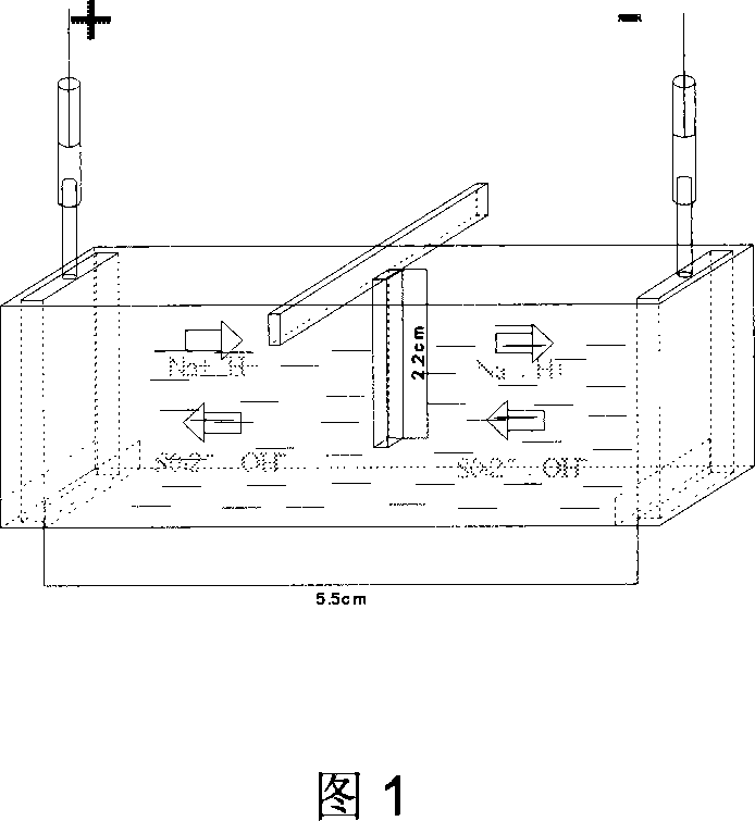 Method of preparing intelligent aqueous gel capable of directional moving in electric field