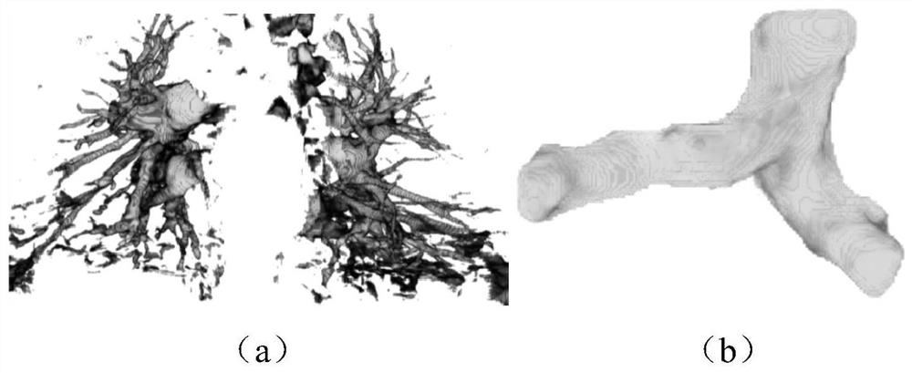 Pulmonary artery blood vessel tree obtaining method and device, storage medium and electronic equipment