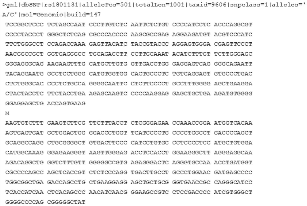 A method and kit for detecting the genotype of the mthfr gene rs1801131 polymorphic site