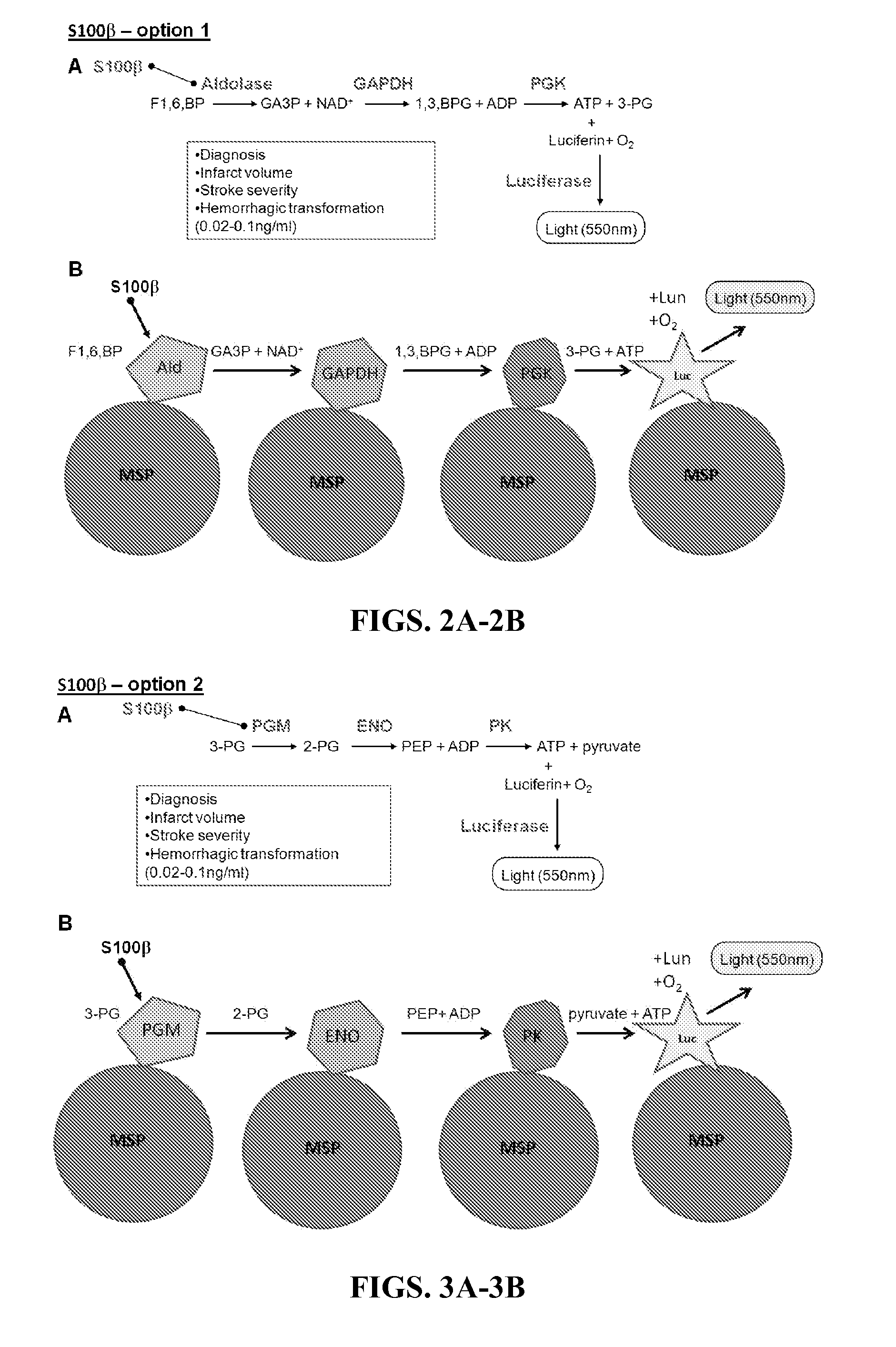 Immobilized protein system for rapid and enhanced multiplexed diagnostics