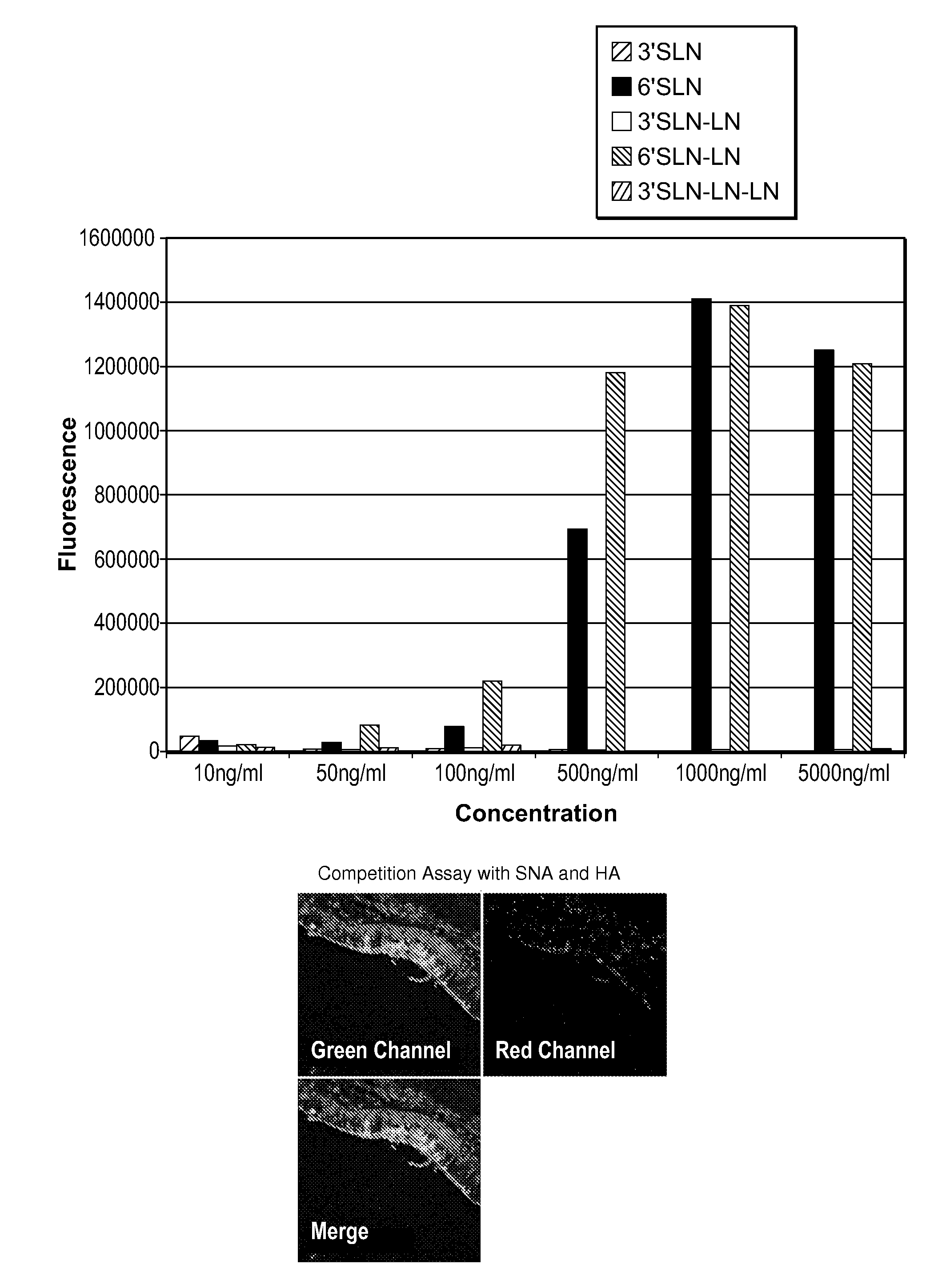 Hemagglutinin Polypeptides, and Reagents and Methods Relating Thereto