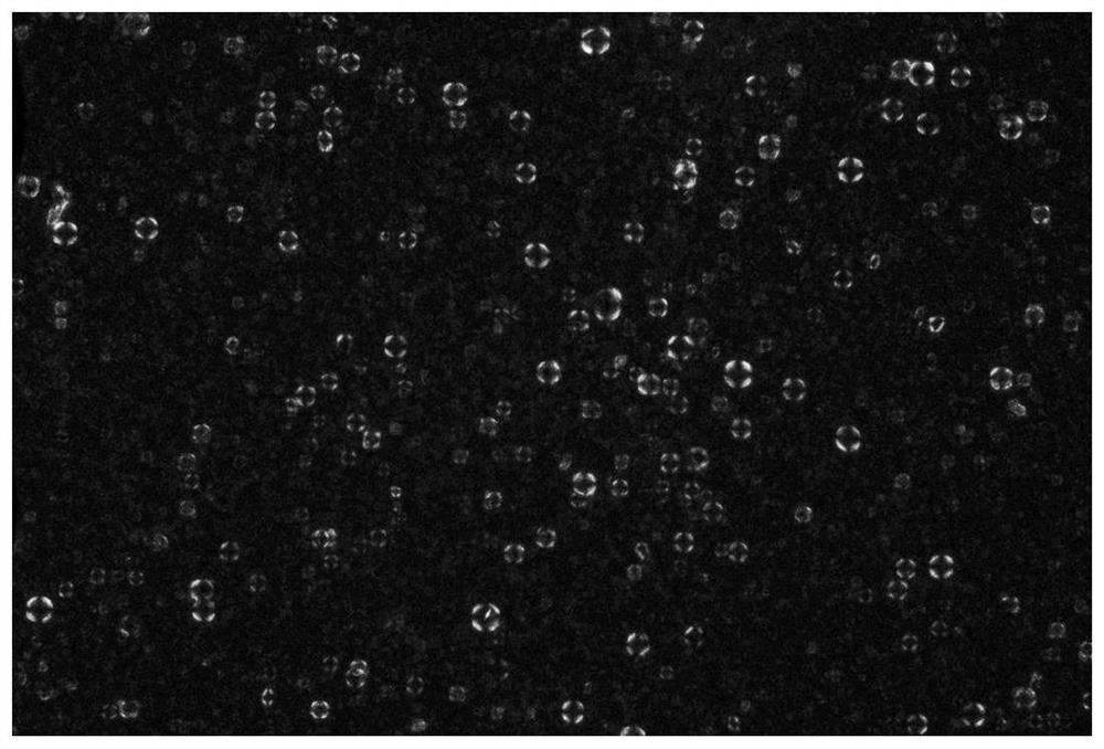 A kind of whitening liquid crystal composition and its preparation method and application