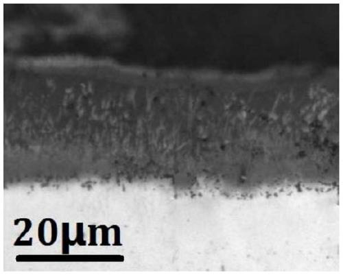 A method for in-situ preparation of TICN coating on the surface of titanium alloy