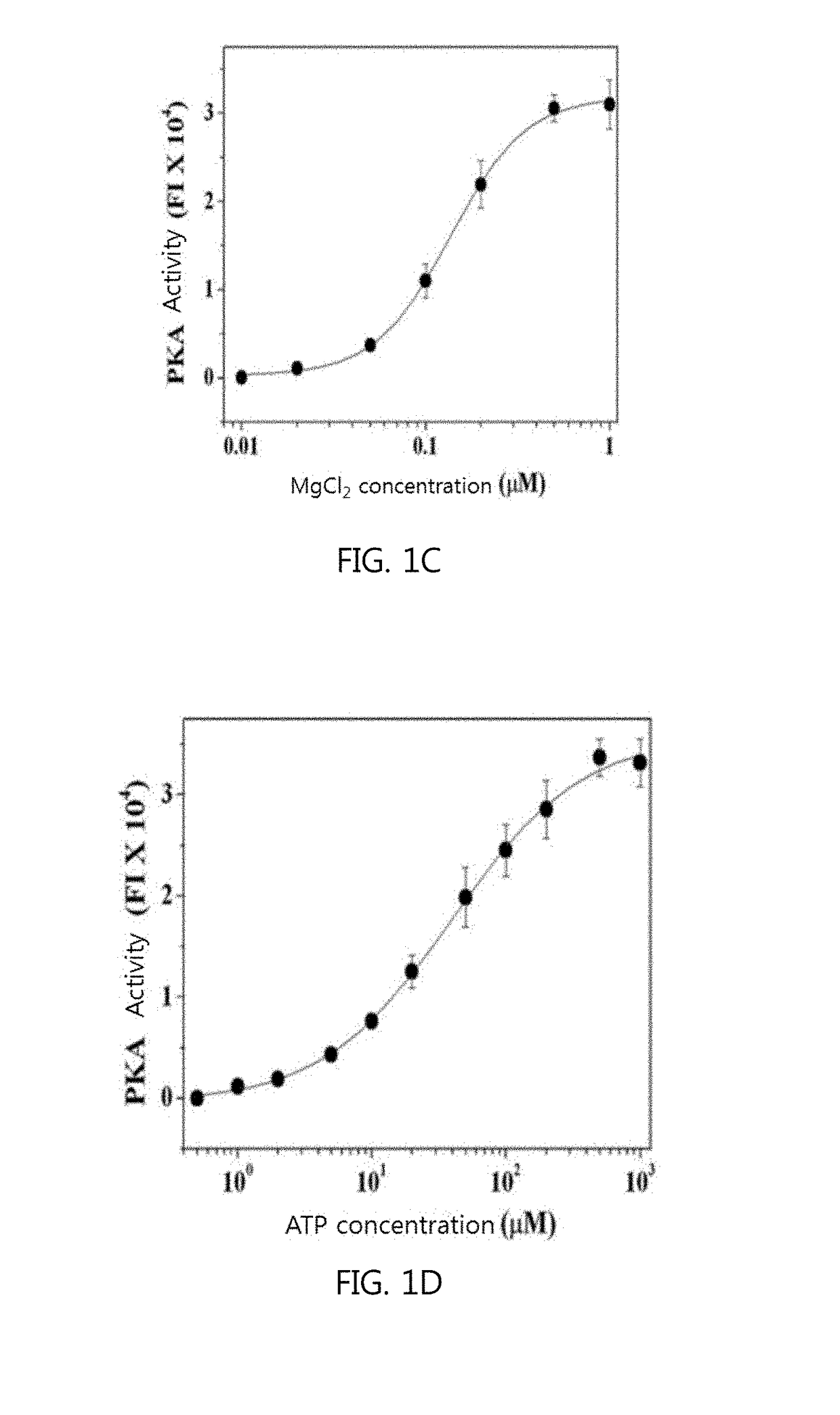 Method for measuring protein kinase activity and kit for same