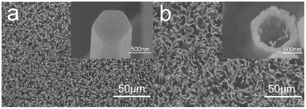 A Porous Single Crystal Gallium Nitride Micro/Nanotube Array with Controllable Inner Diameter and Its Preparation Method