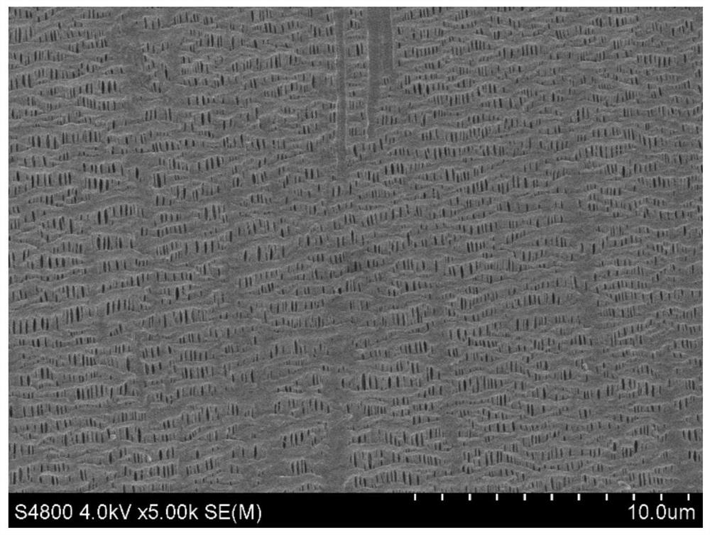 Polyolefin composite film as well as preparation method and application thereof