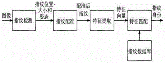 Intelligent biological recognition method and working flow thereof