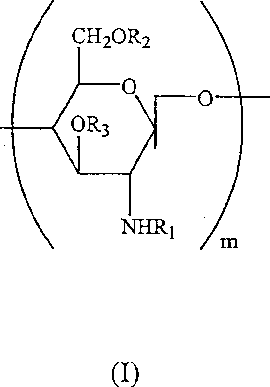Water soluble, randomly substituted partial N-, partial O-acetylated chitosan, preserving compositions containing chitosan, and processes for making thereof